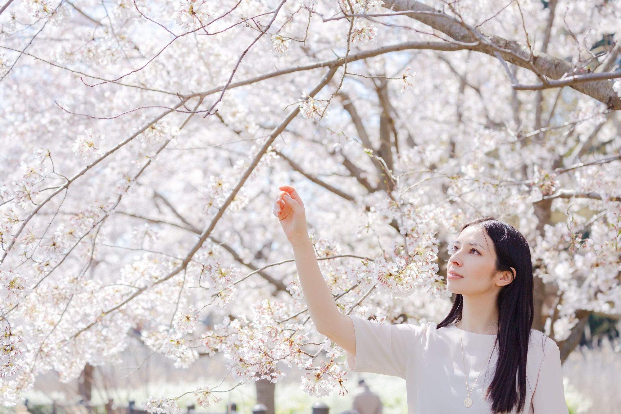 Sayaka Okubo Photography